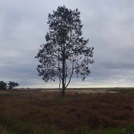4 Person In Hals-by Traum * Hals